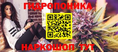 наркотики Шебекино