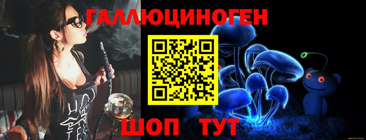 Псилоцибиновые грибы Psilocybe Великие Луки